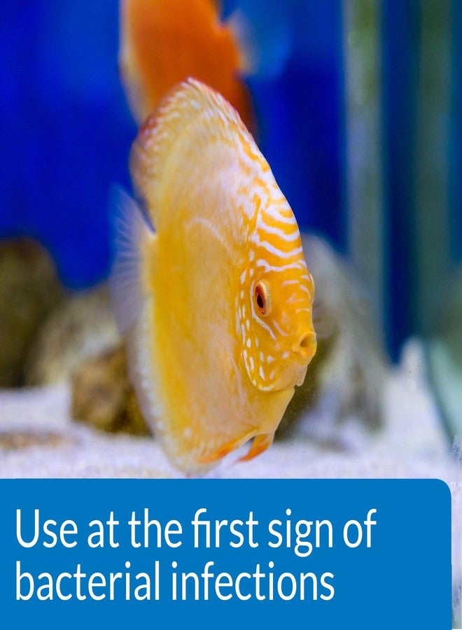 ايه بي آي علاج سائل لسمك الفوغو من API، 118 مل - Image 2